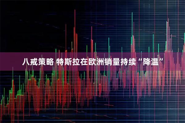 八戒策略 特斯拉在欧洲销量持续“降温”