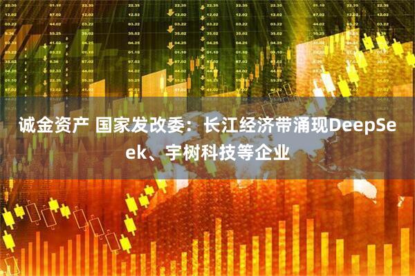 诚金资产 国家发改委：长江经济带涌现DeepSeek、宇树科技等企业