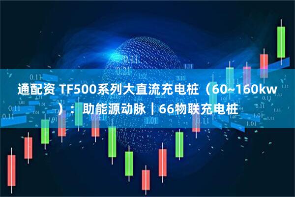 通配资 TF500系列大直流充电桩（60~160kw）：助能源动脉｜66物联充电桩
