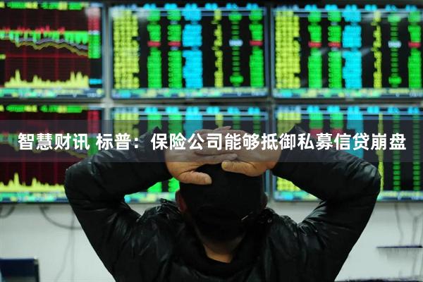 智慧财讯 标普：保险公司能够抵御私募信贷崩盘